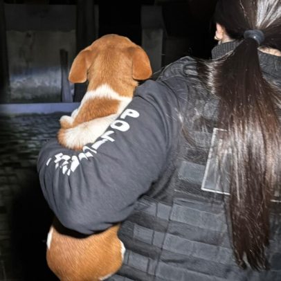 Caso abala a confiança de quem ajuda animais
