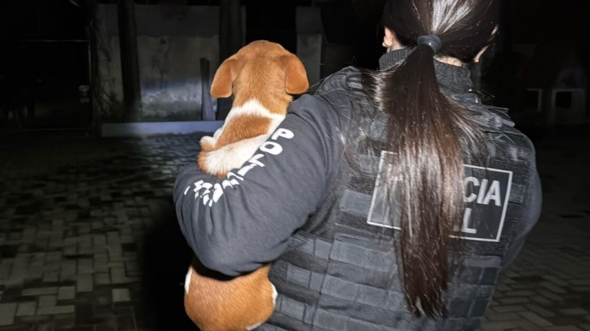 Caso abala a confiança de quem ajuda animais