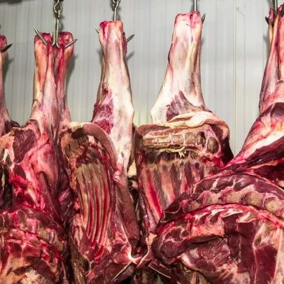 Ásia e EUA podem compensar perda de 1,8 bi com veto da UE à carne brasileira