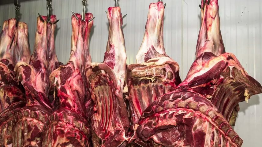 Brasil foi excluído da listagem de exportadores que cumprem as regras da UE
