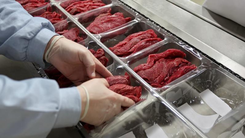 Setor de proteínas trabalha com o governo brasileiro para prestar esclarecimentos às autoridades europeias e demonstrar a efetividade dos sistemas nacionais de fiscalização e controle