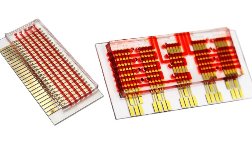 Novo chip é capaz de monitorar células cancerígenas e indicar infecção por mpox