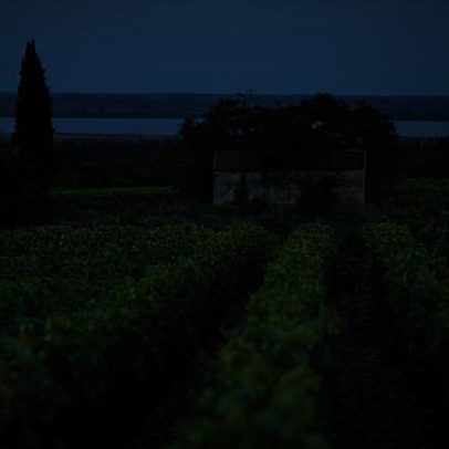 Costières de Nîmes: o oeste selvagem do Rhône