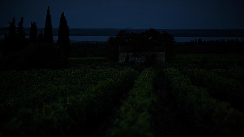 Costières de Nîmes: o oeste selvagem do Rhône