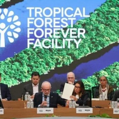 Fundo de Florestas de Lula chega a US$ 6,8 bi com aporte de Luxemburgo