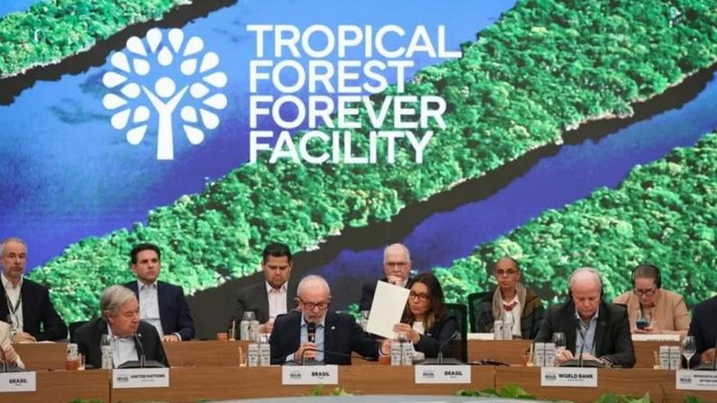 Fundo de Florestas de Lula chega a US$ 6,8 bi com aporte de Luxemburgo