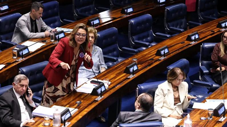 Sessão do Senado que aprovou o PL da Misoginia, em 24 de março: conteúdo restringe liberdade de expressão. (Foto: Lula Marques/ Agência Brasil)