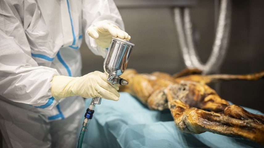 Ötzi, o "homem de gelo", está sendo mantido pelo Museu de Arqueologia do Tirol do Sul, na Itália