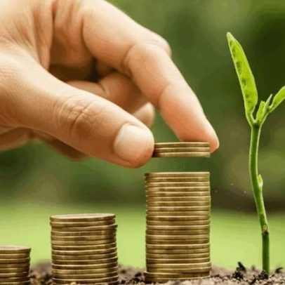STF derruba obrigatoriedade de compra de créditos de carbono por seguradoras