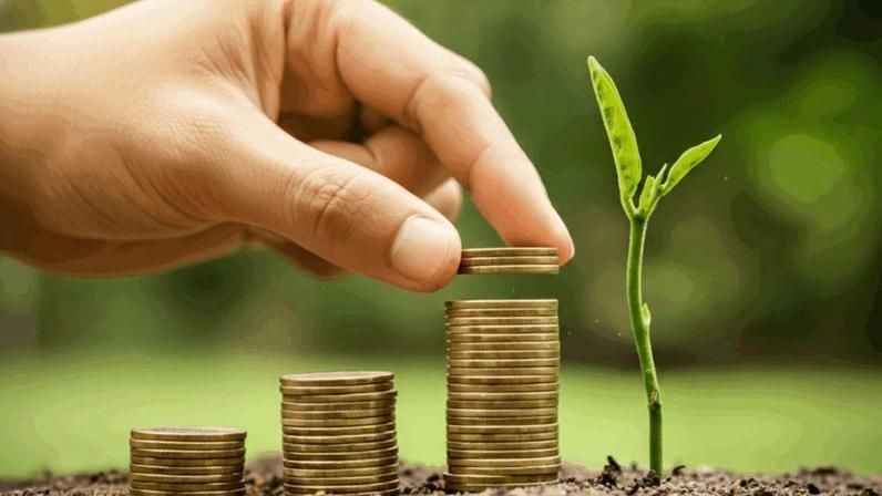 Imagem ilustrativa sobre mercado de carbono; STF derrubou regra que obrigava seguradoras a aplicar parte das reservas técnicas em créditos de carbono