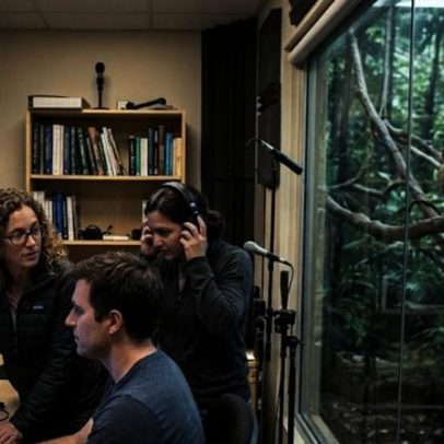 IA permite conversar com animais e muda a comunicação entre espécies