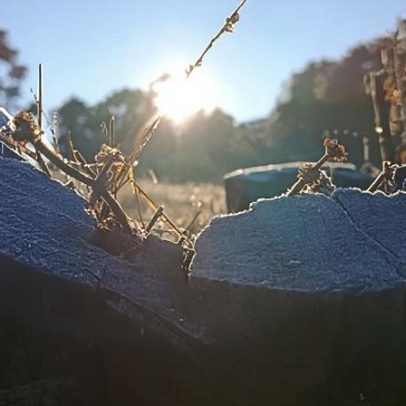 RS e SC podem ter neve neste período