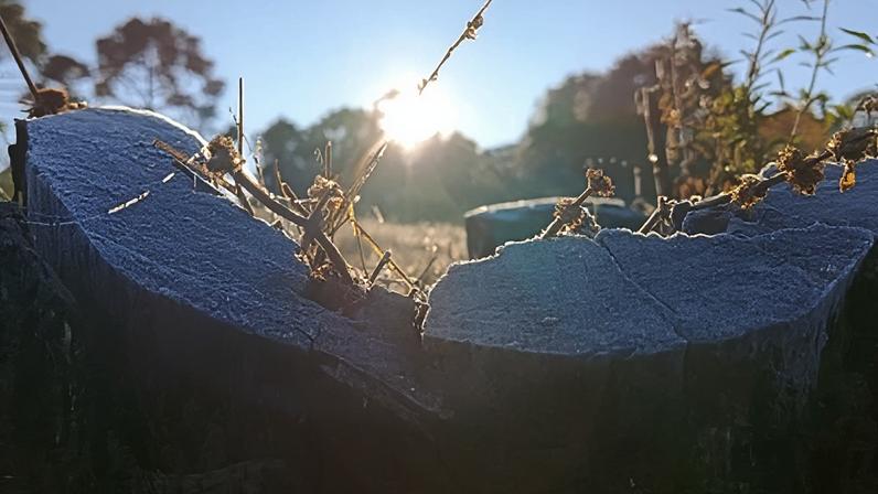 Temperaturas podem ficar abaixo de 0ºC no Brasil