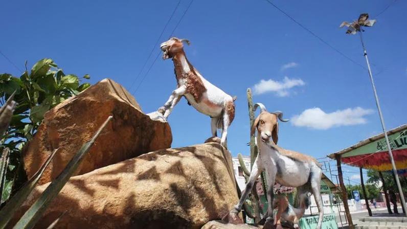 Evento contará, ainda, com a tradicional programação com os animais no Parque do Bode (Foto: Teresa Duarte)