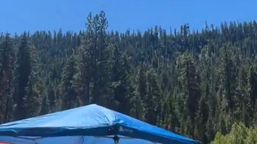 Caça F/A-18D Hornet da USAF cai em área florestal