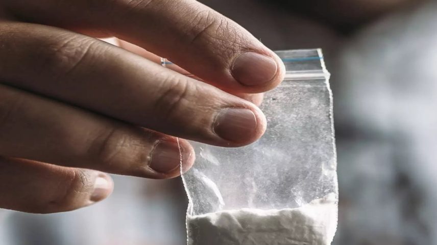 Mercado global de cocaína bateu os próprios recordes segundo a UNODC