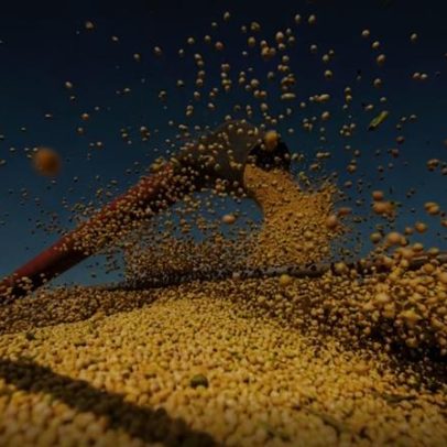 Conab estima produção de grãos em até 358,6 milhões de toneladas