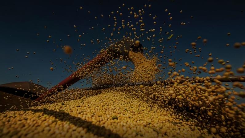 Caso o resultado se confirme, o Brasil baterá novo recorde, com uma alta de 1,8% na comparação com a safra anterior; na imagem, um vagão de trem é carregado com soja