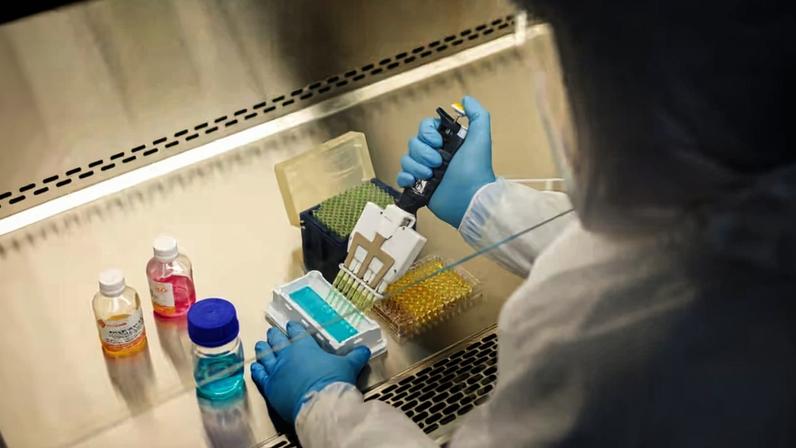 Anvisa afirma que estudo da dengue seguiu todos os ritos regulatórios