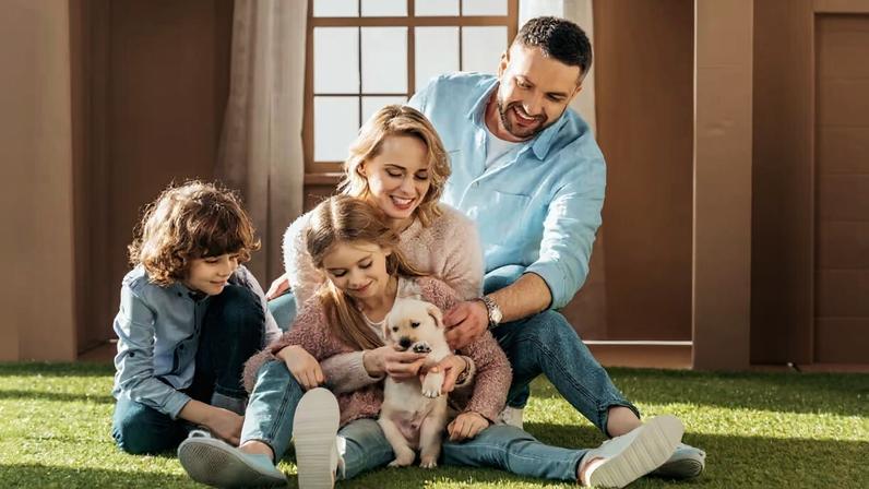 Seis dicas para famílias que pensam em adotar um pet