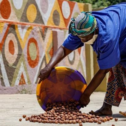 Luta para salvar a indústria africana da manteiga de karité