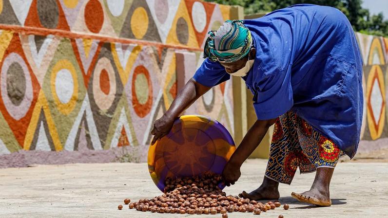 African shea producers are fighting to keep value, livelihoods and profits closer to home.