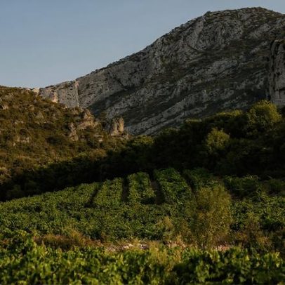 Além de Burgundy, Languedoc-Roussillon destaca-se no DWWA 2026