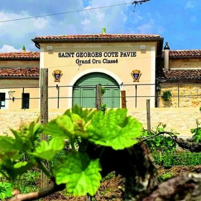 Resultados de degustação: St-Émilion e Pomerol 2020