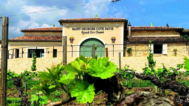 Resultados de degustação: St-Émilion e Pomerol 2020