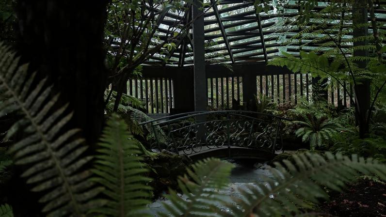 Jardim de samambaias é uma das atrações no Parque Rainha Elizabeth, na Nova Zelândia