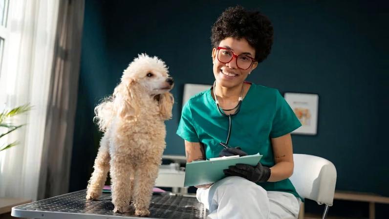 Seu pet tem histórico médico ou apenas uma coleção de exames?