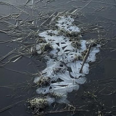 Cidade de SC registra -9,1°C; locais mais frios do Sul listados