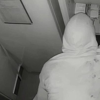 Grupo é preso por furtos de canetas emagrecedoras no DF