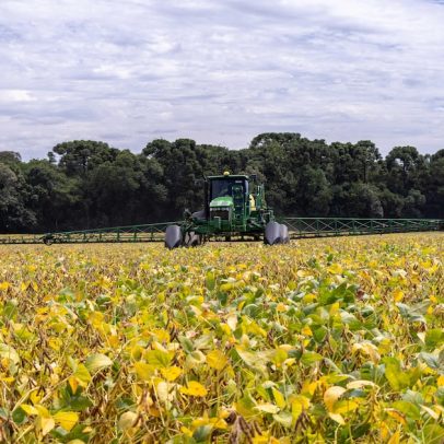 El Niño aumenta pressão sobre crédito rural e atrasa recuperação do BB