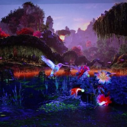 Exposição usa emoções e IA para criar versão virtual da Amazônia