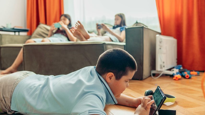 O conceito de "criticome" destaca uma janela crítica de desenvolvimento do nascimento aos 25 anos