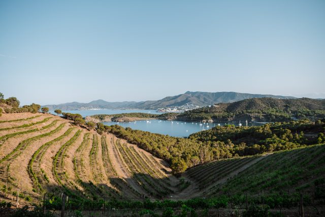 Perelada’s wines are a true reflection of the Empordà region’s terroir and its Mediterranean identity. db finds out more.