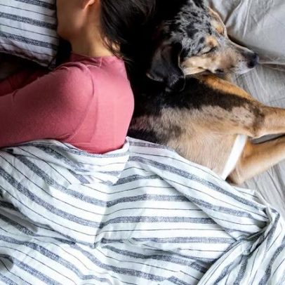 Dormir com o pet envolve troca complexa, segundo a ciência