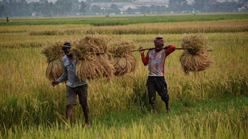 Mortes por raios no Bangladesh persistem com falhas de salvaguardas governamentais