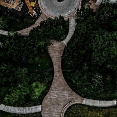 Natureza e resiliência: o novo imperativo para os negócios