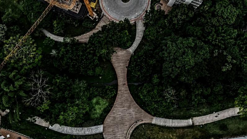 Parques lineares são exemplo de Solução Baseada na Natureza aplicada ao ambiente urbano (Divulgação/Divulgação)