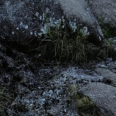 Parque Nacional do Itatiaia registra -4,4°C, menor temperatura do Brasil