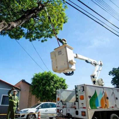 Poda de árvores deixa casas da Granja do Torto sem energia nesta segunda