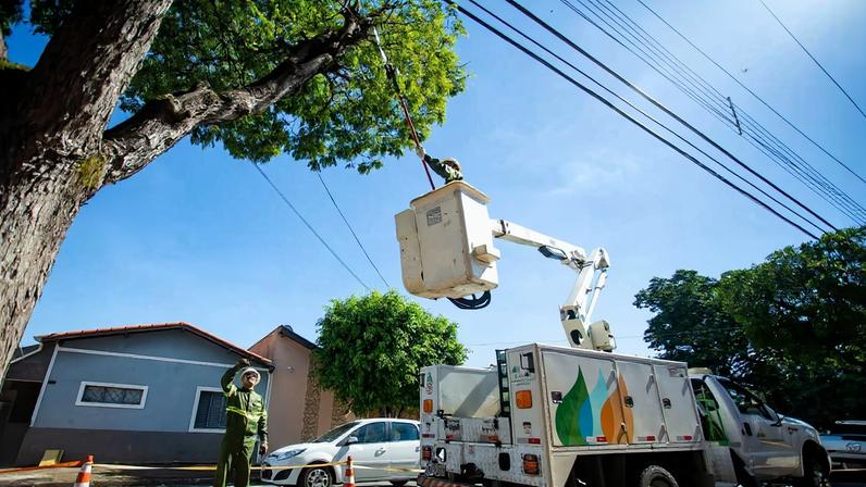 Poda de árvores deixa casas da Granja do Torto sem energia nesta 2ª