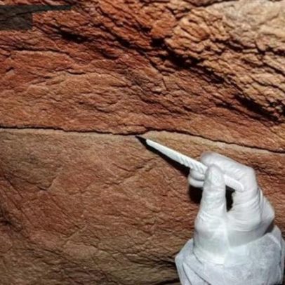DNA humano é extraído de pinturas rupestres pela primeira vez