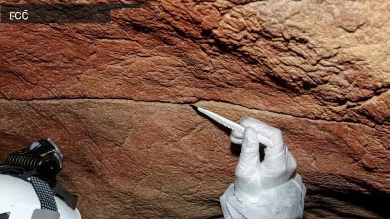 Cientistas detectaram material genético nas paredes de cavernas pré-históricas
