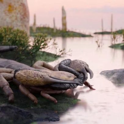 Escorpião pré-histórico gigante intrigou cientistas por mais de um século
