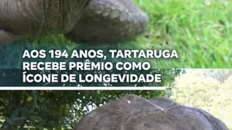 Reprodução canal do Youtube Record News