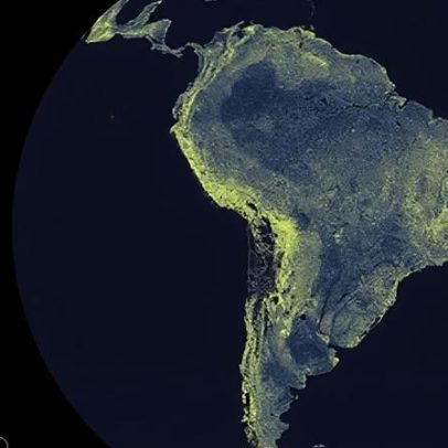 Estudo aponta rede subterrânea de fungos com 110 quatrilhões de km