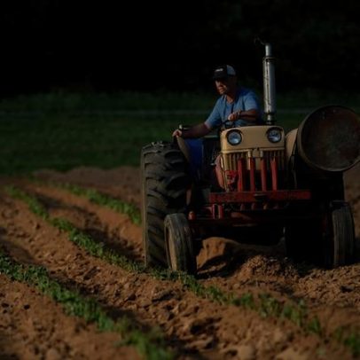 IGP-M cai 0,50% em junho, com recuo nos preços ao produtor